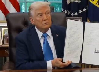 Visa H-1B: ¿Cómo podría remodelar los empleos en el sector de la tecnología en EE. UU.? – France 24