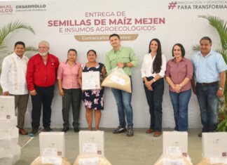 Comalcalco impulsa el campo con semillas y tecnología