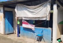 Clausuran negocio en Tampico por vender carne de cocodrilo