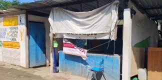 Clausuran negocio en Tampico por vender carne de cocodrilo