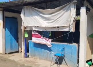 Clausuran negocio en Tampico por vender carne de cocodrilo